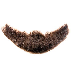 BEARD 305