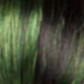 GREEN SH
